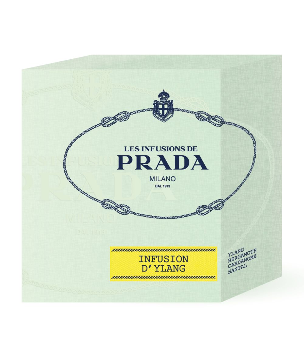 Prada Beauty Prada Beauty Infusion D'Ylang Candle (165G)