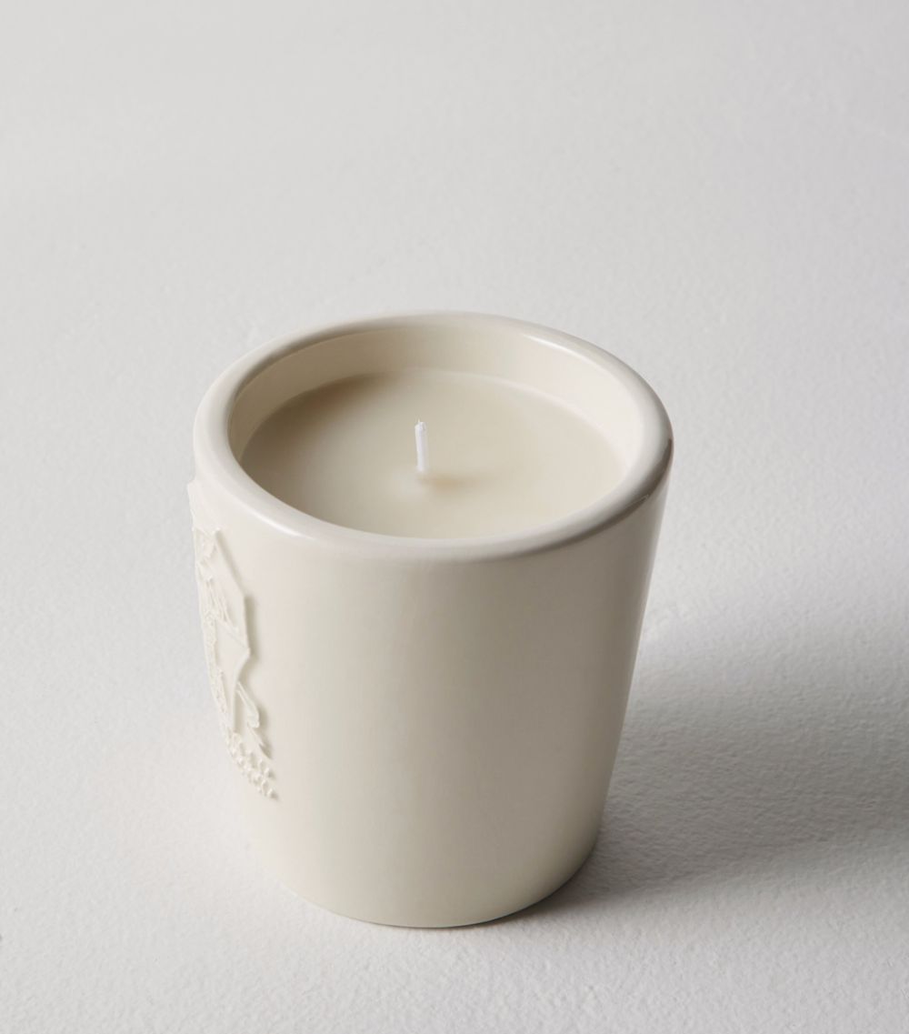 Brunello Cucinelli Brunello Cucinelli Ebano Candle (8.5cm)