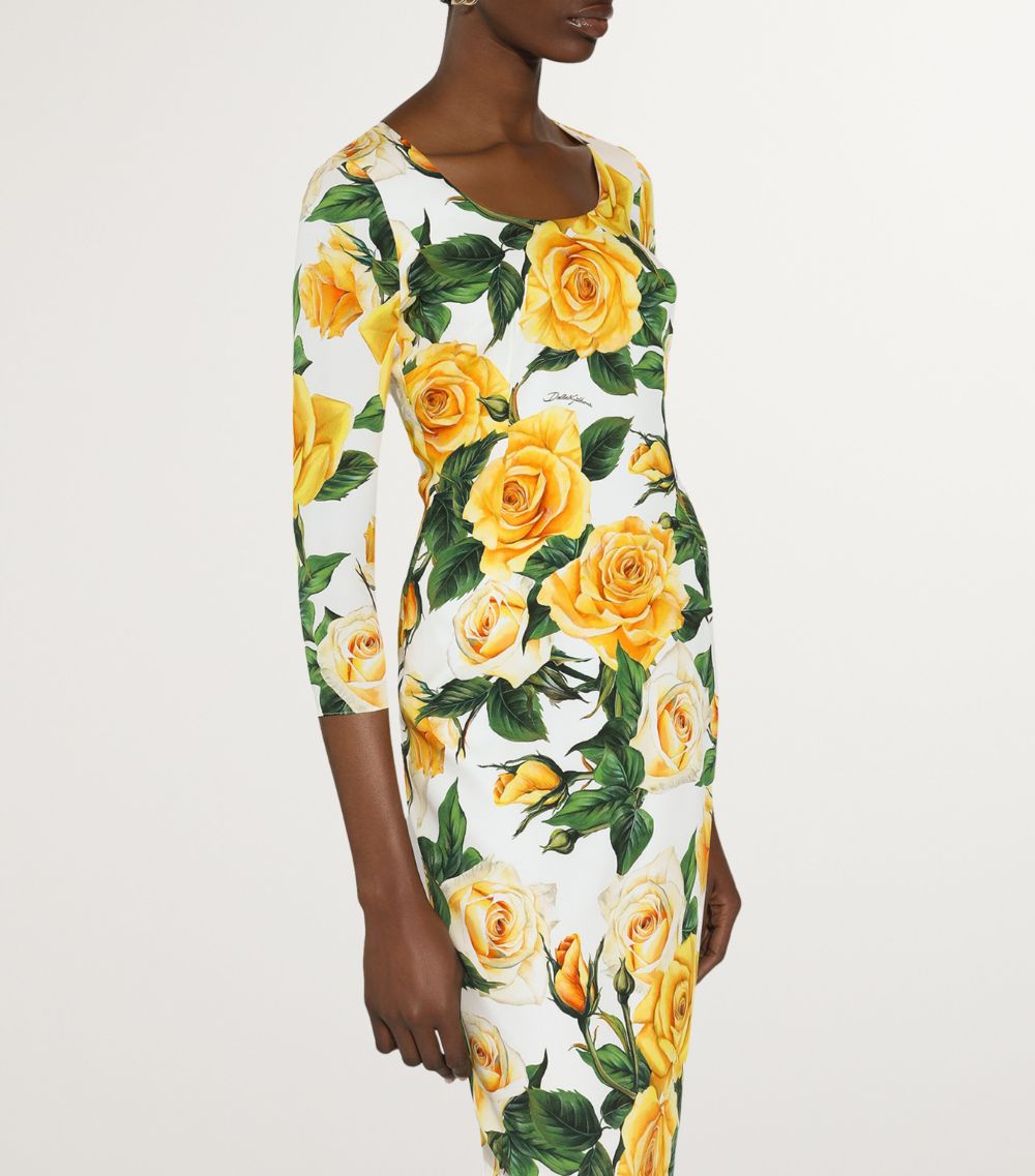 Dolce & Gabbana Dolce & Gabbana Rose Print Midi Dress