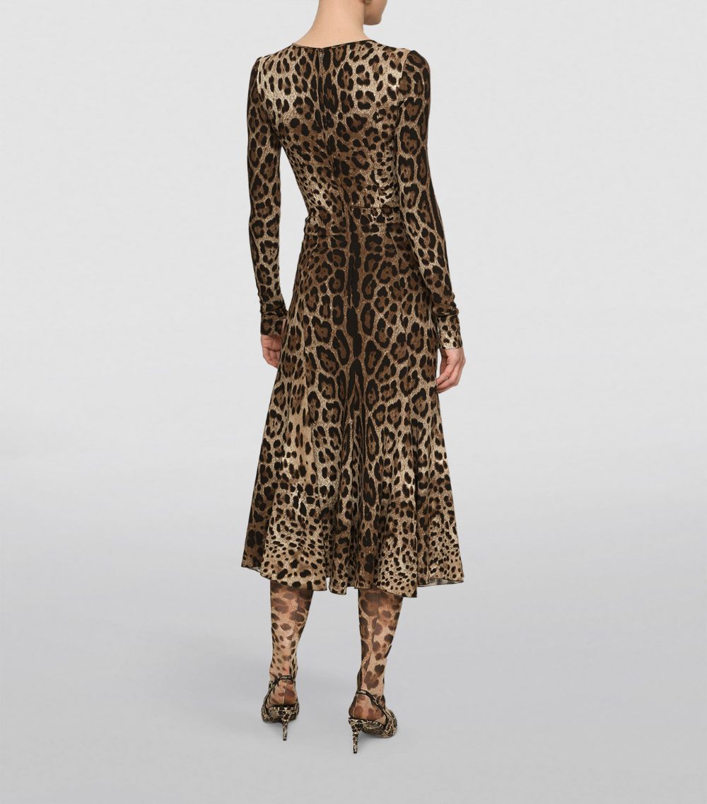 Dolce & Gabbana Dolce & Gabbana Leopard Print Midi Dress