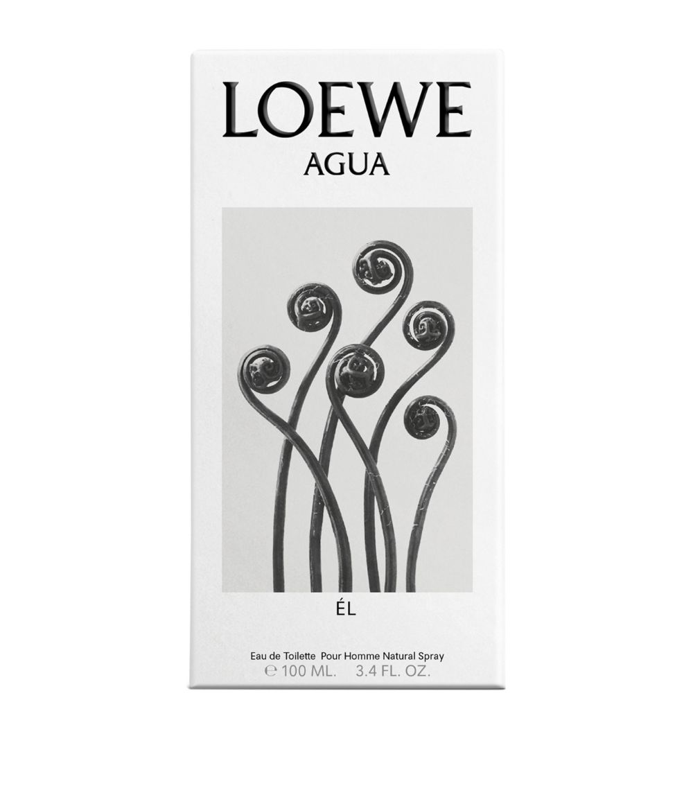 Loewe Loewe Agua Él Eau De Toilette (100Ml)