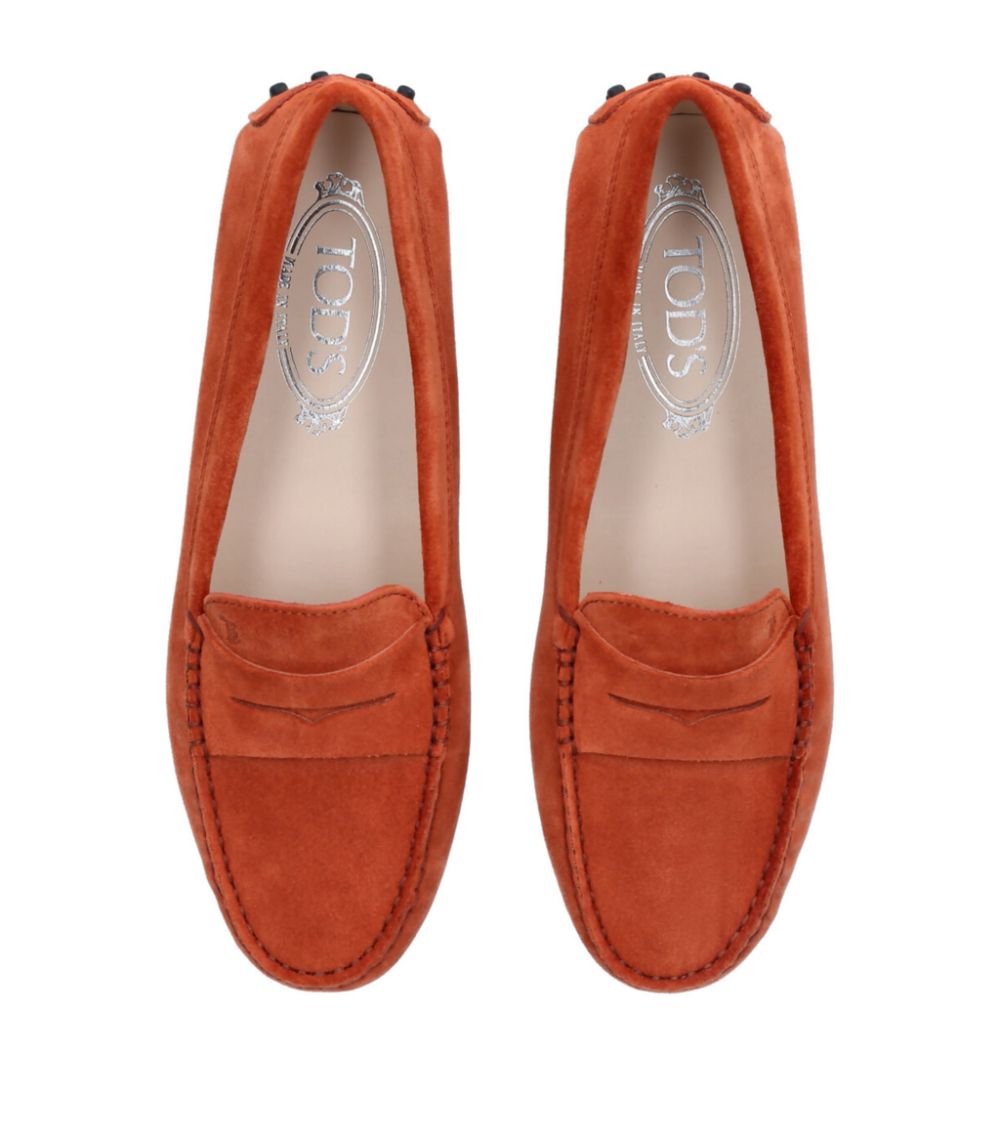 Tod's Tod'S Suede Mocassino Driving Shoes