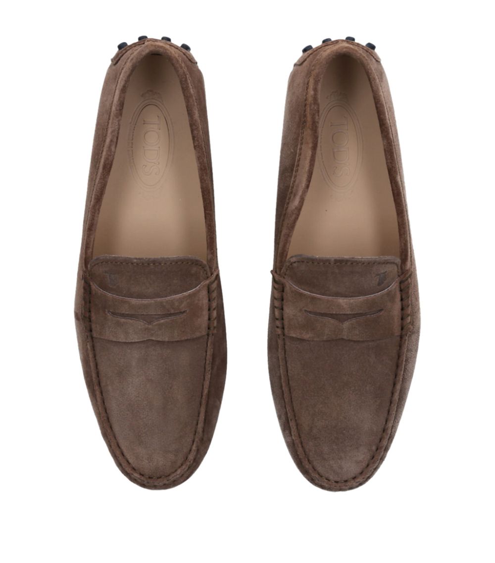 Tod's Tod'S Suede Penny Driving Shoes