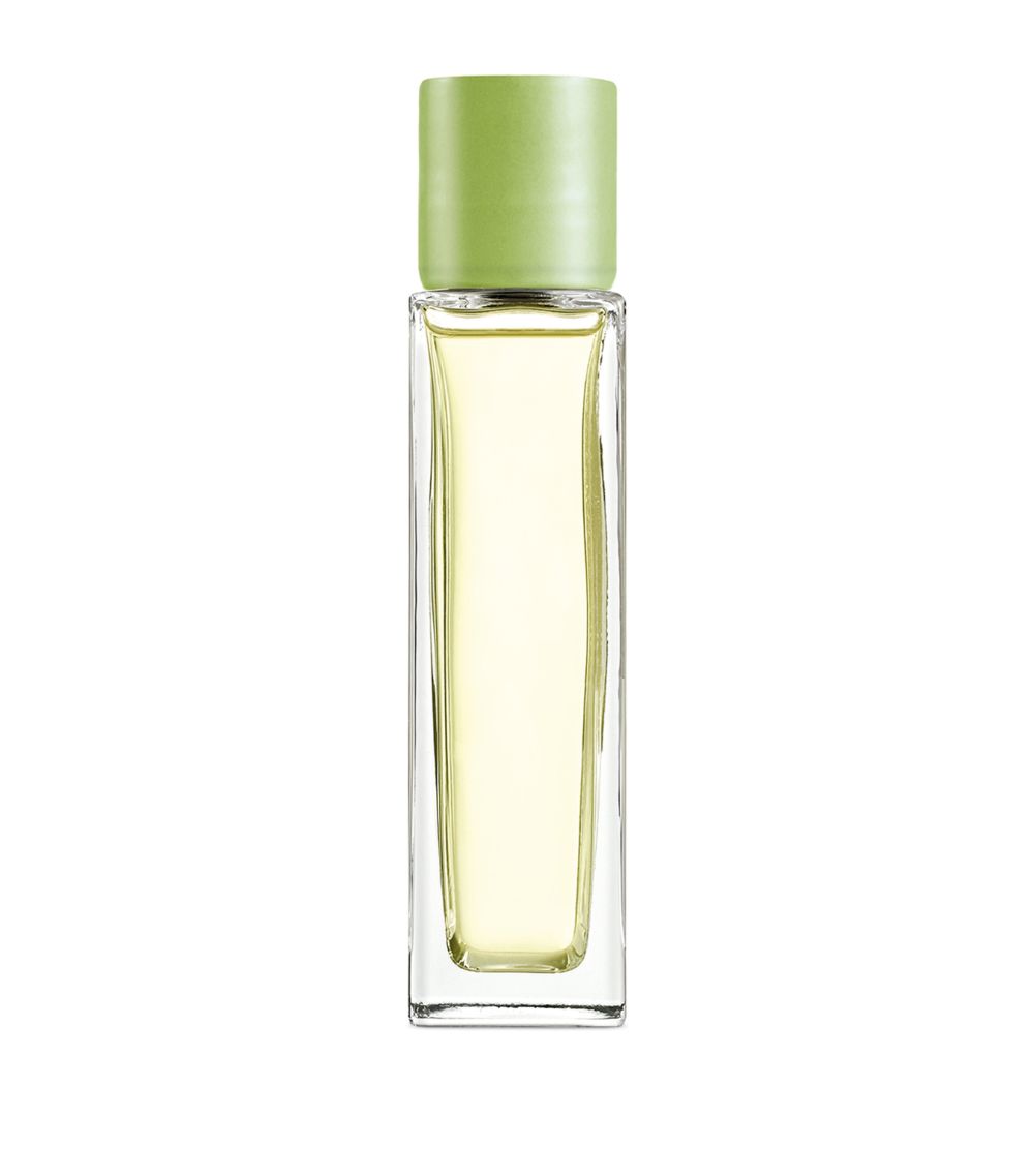 Loewe Loewe Cucumber Room Spray (150Ml)