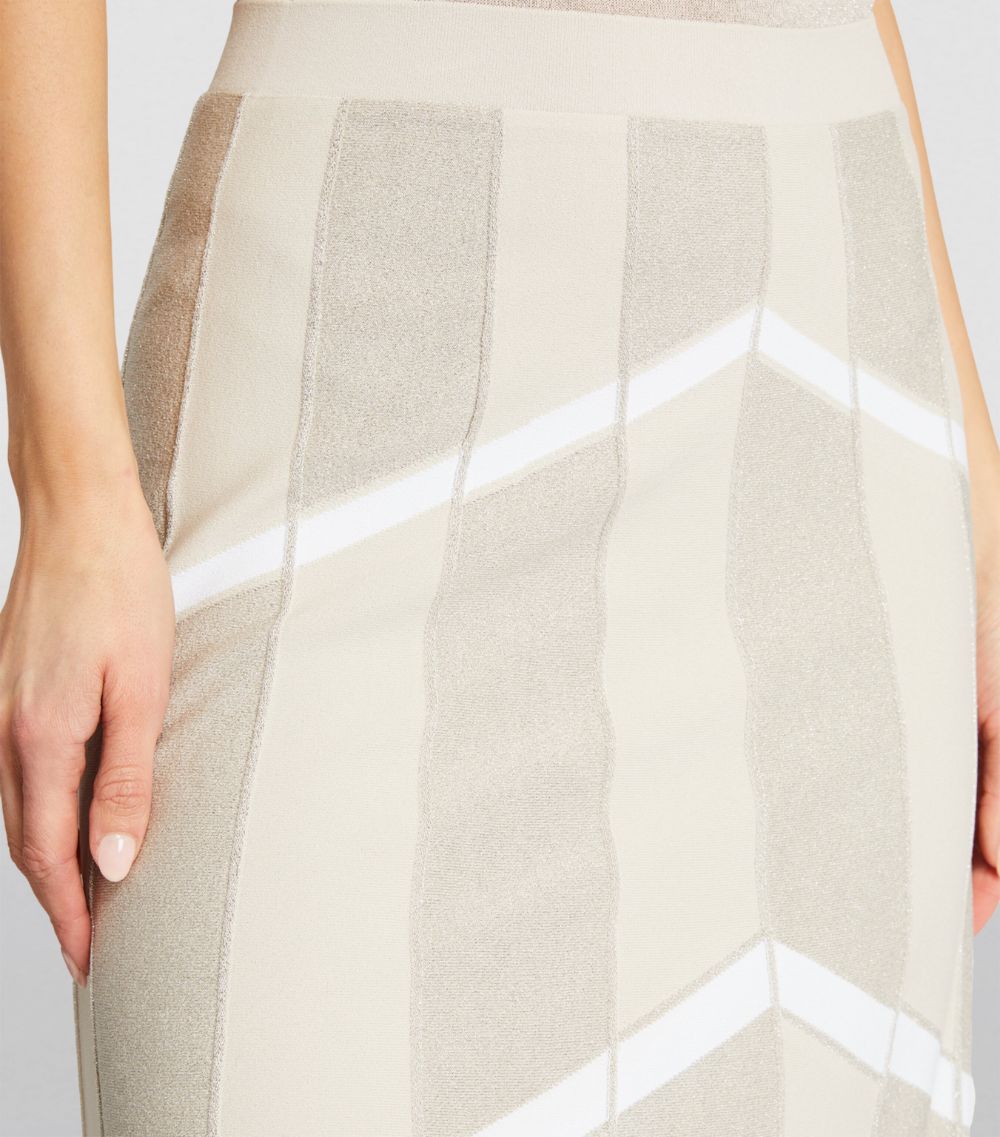 D.Exterior D.Exterior Striped Pleated Skirt