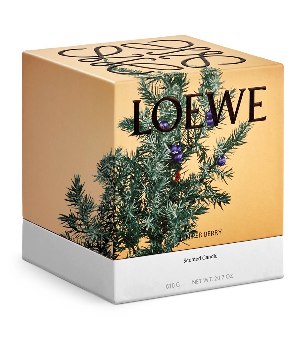 Loewe LOEWE Juniper Berry Candle (610g)