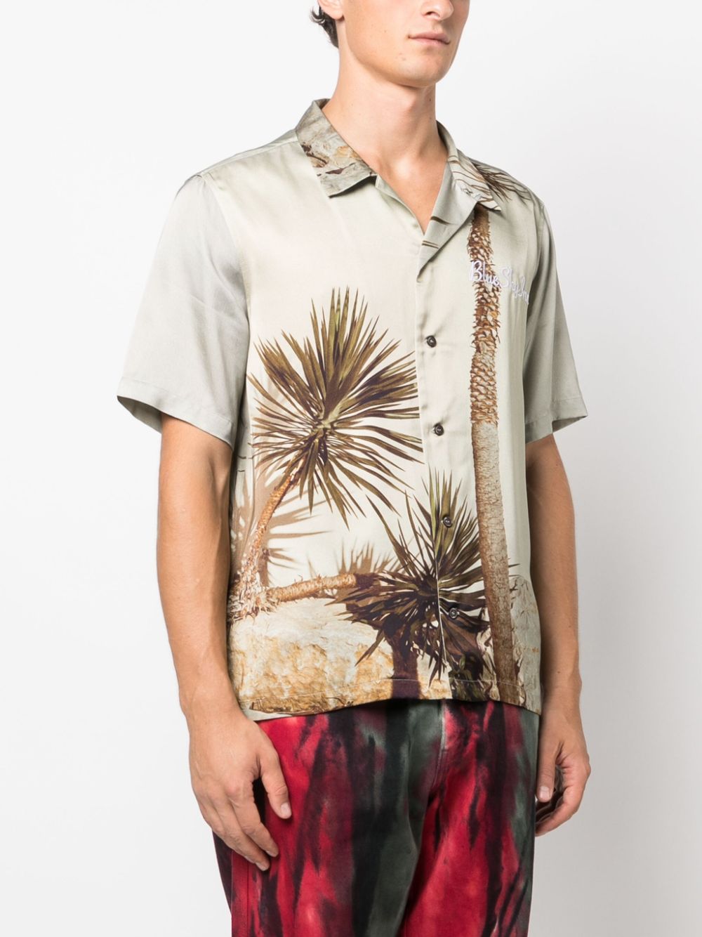 BLUE SKY INN BLUE SKY INN- Printed Viscose Shirt