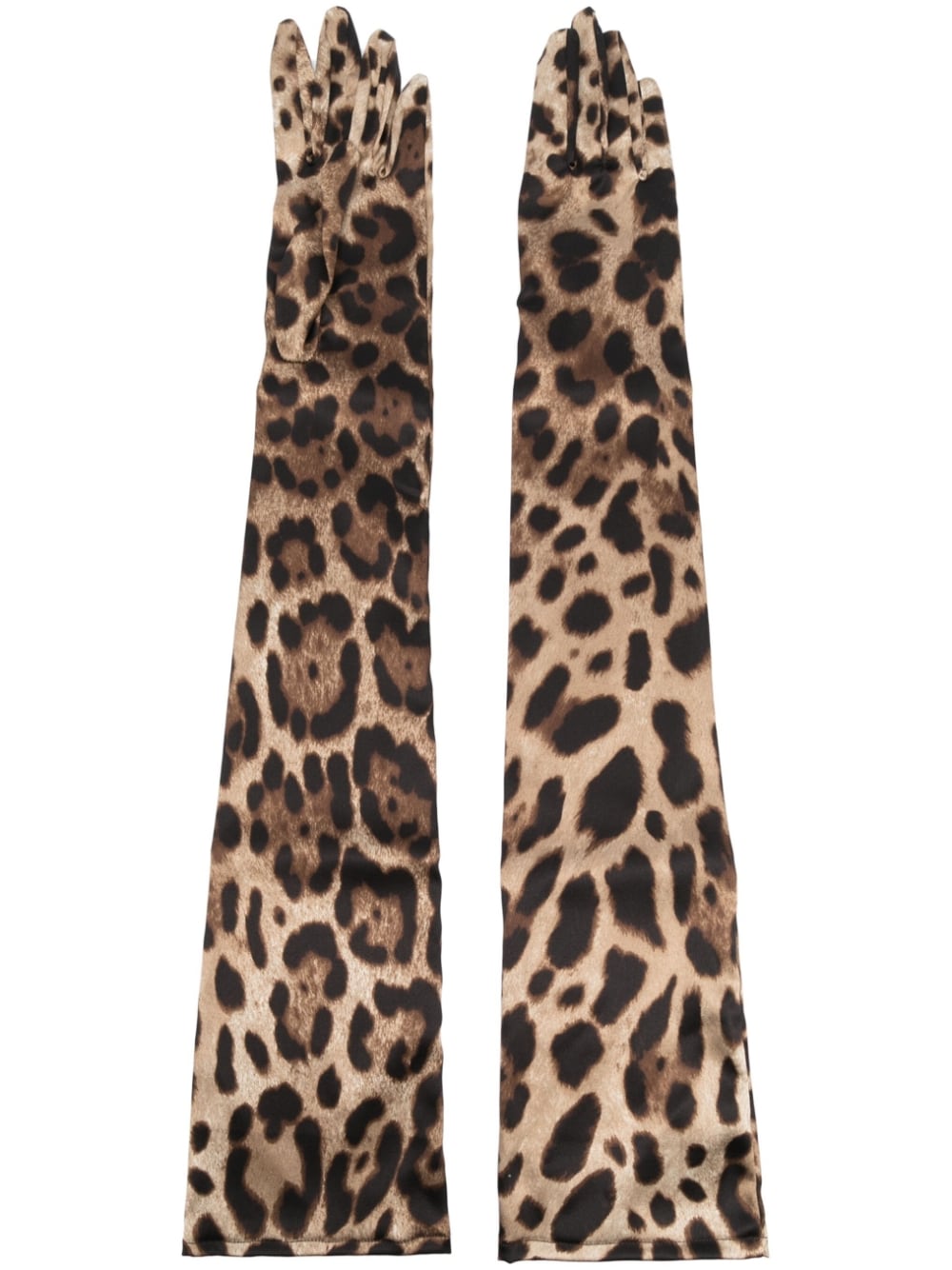 Dolce & Gabbana DOLCE & GABBANA- Leopard Print Silk Gloves