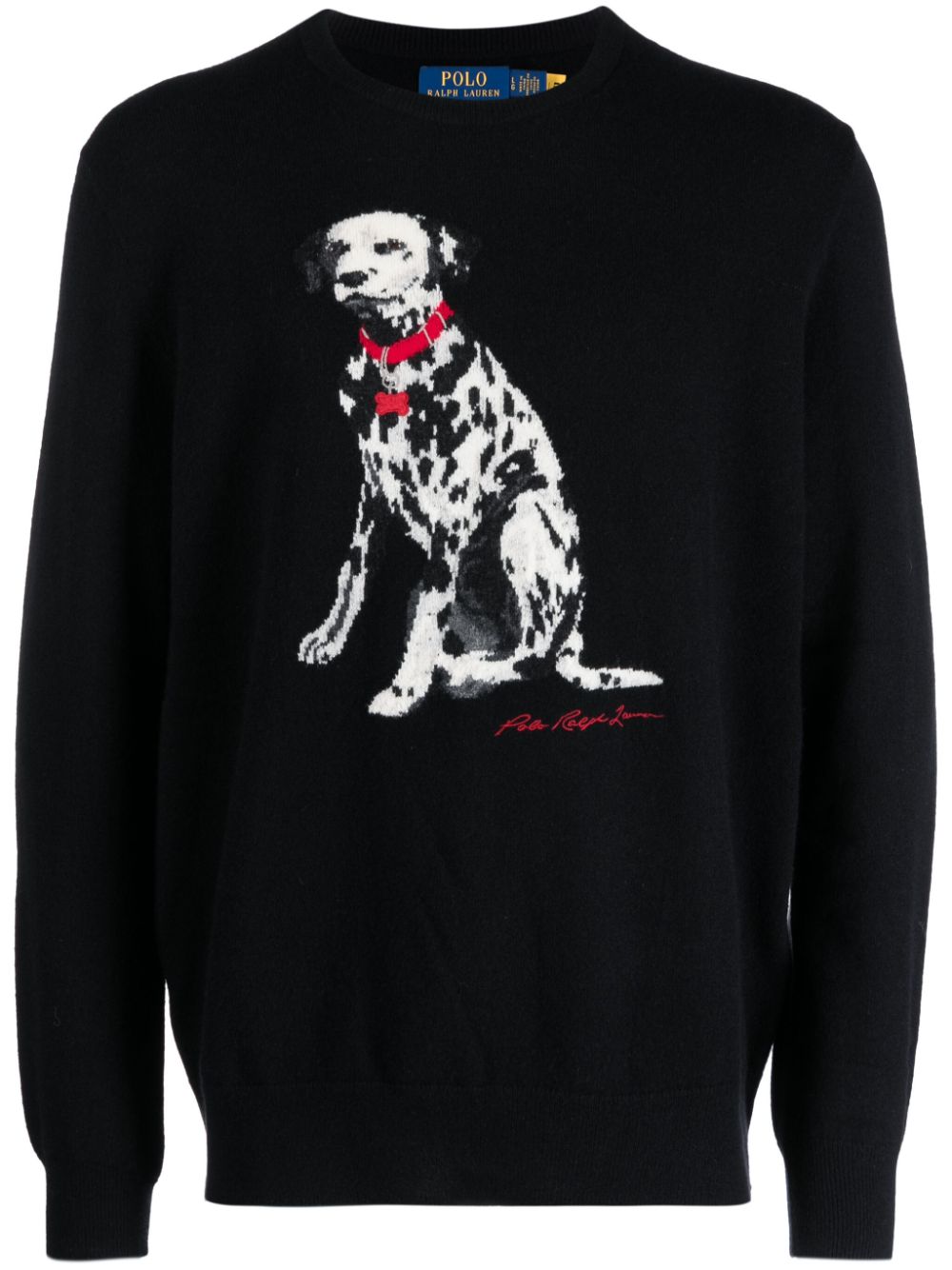 Polo Ralph Lauren POLO RALPH LAUREN- Printed Sweater