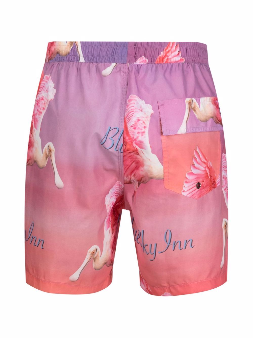 BLUE SKY INN BLUE SKY INN- Printed Swim Shorts