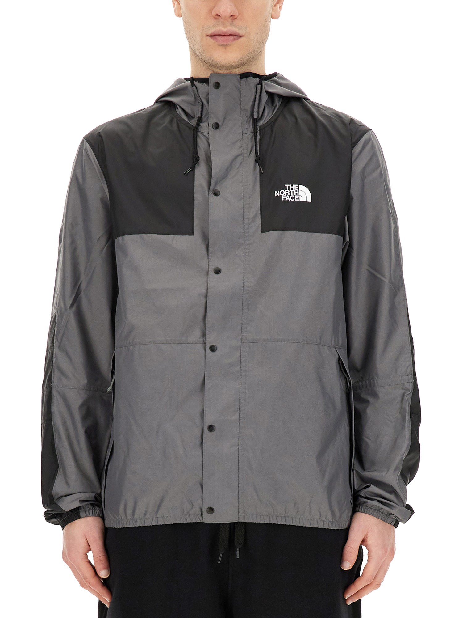 The North Face the north face hooded jacket