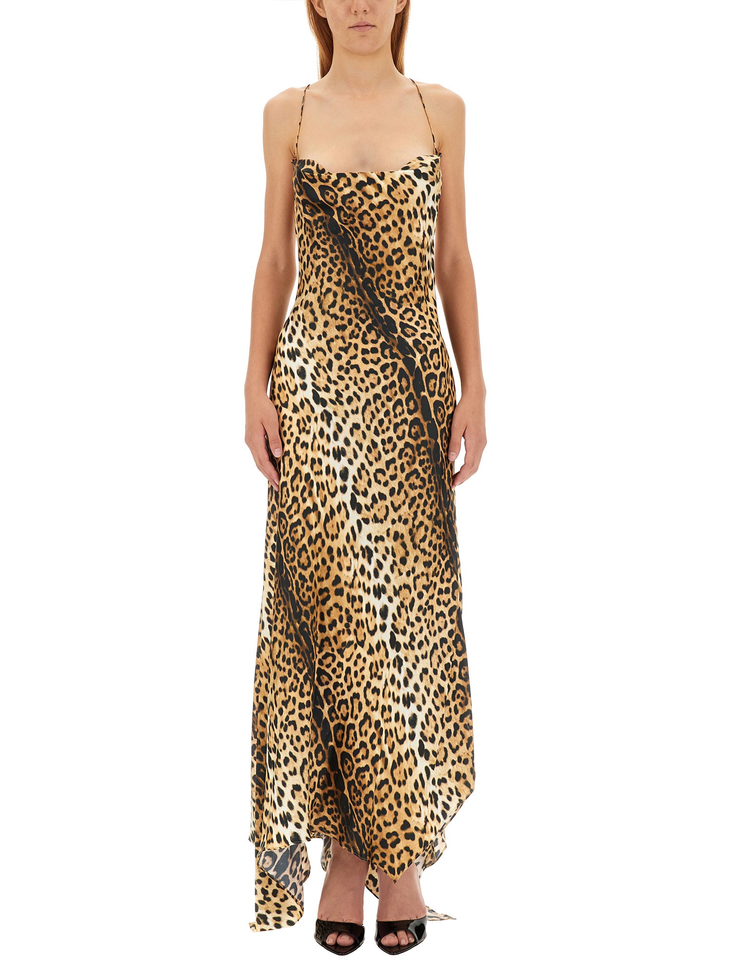 Roberto Cavalli roberto cavalli long dress