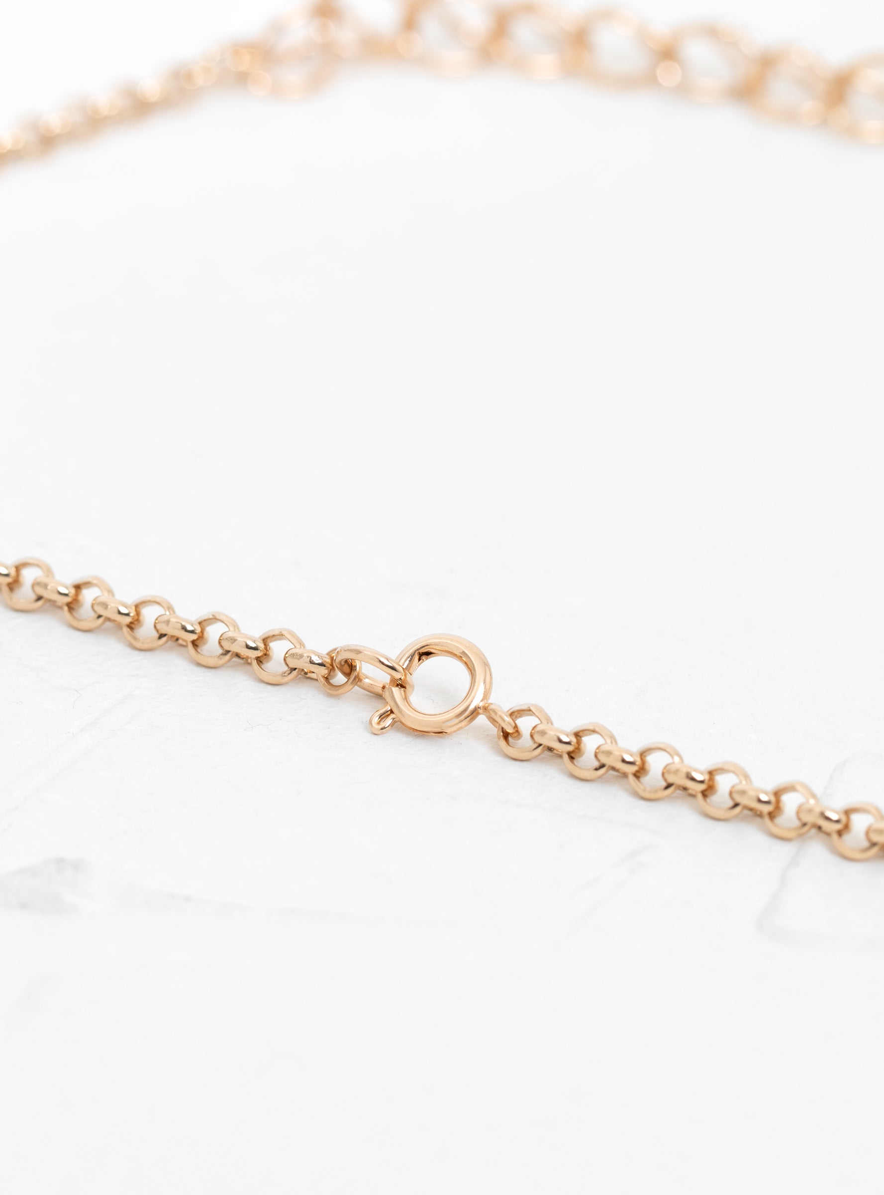  Helena Rohner Round Link & Chain Gold-Plated Necklace