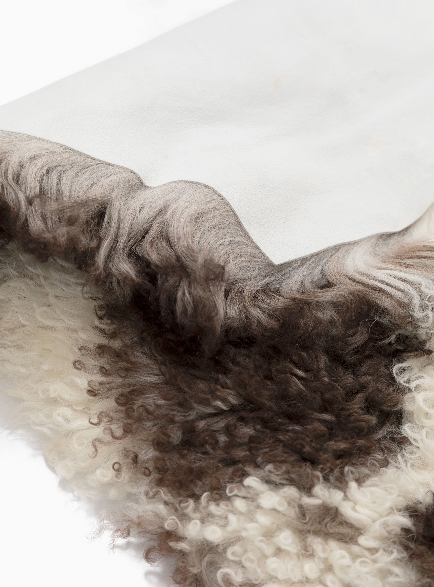  Natures Collection Austrian Curly Sheepskin Rug Multi