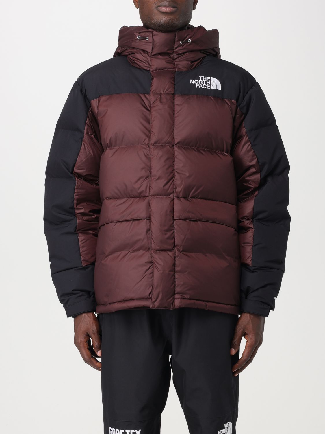 The North Face Jacket THE NORTH FACE Men colour Brown