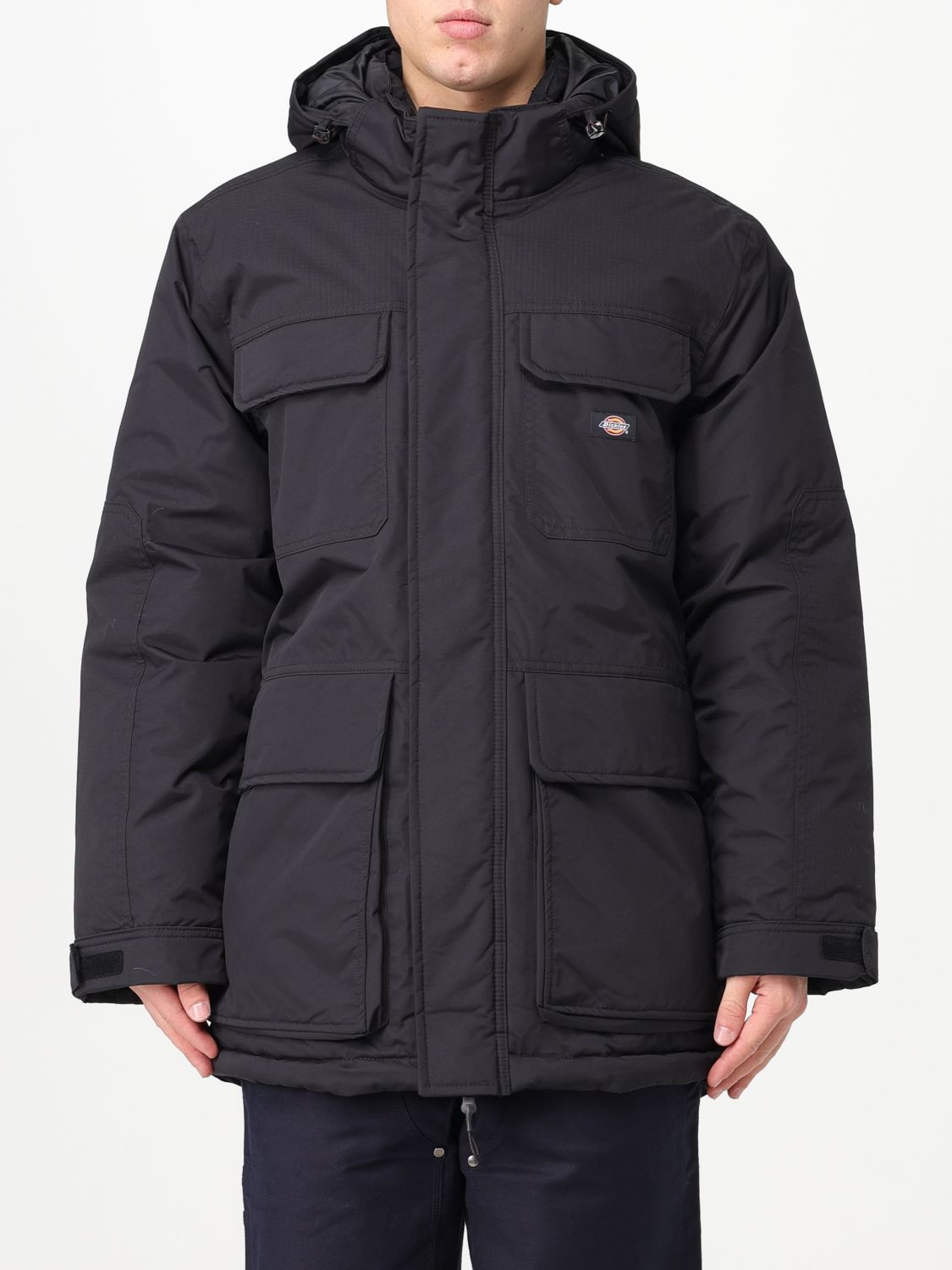 Dickies Jacket DICKIES Men colour Black