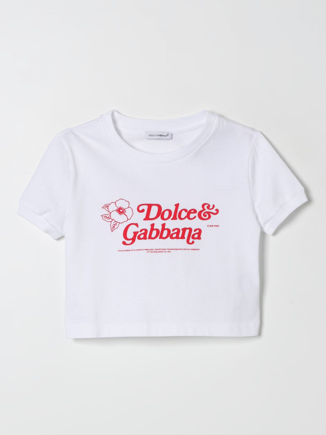 Dolce & Gabbana T-Shirt DOLCE & GABBANA Kids color White