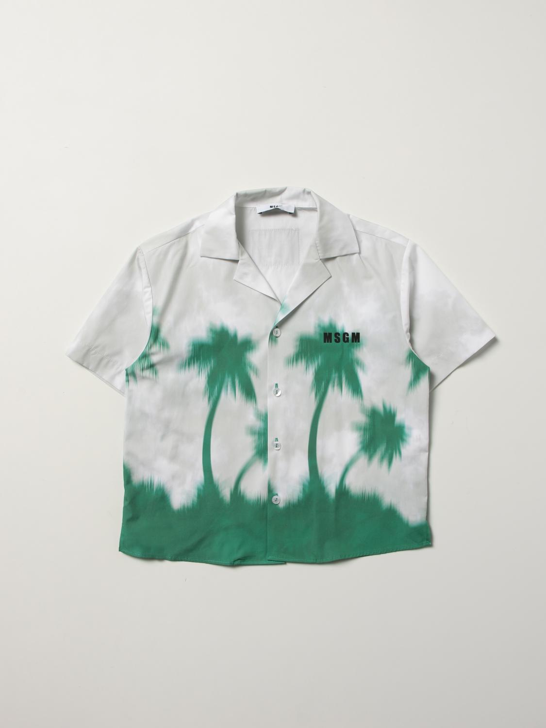 Msgm Kids Shirt MSGM KIDS Kids colour Green