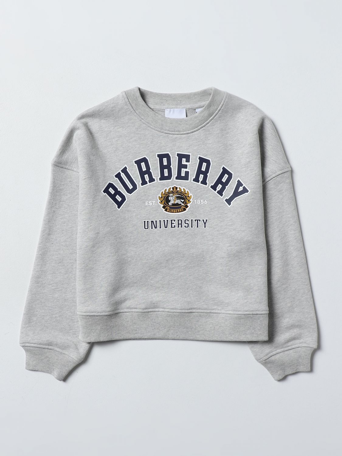 Burberry Kids Jumper BURBERRY KIDS Kids colour Grey