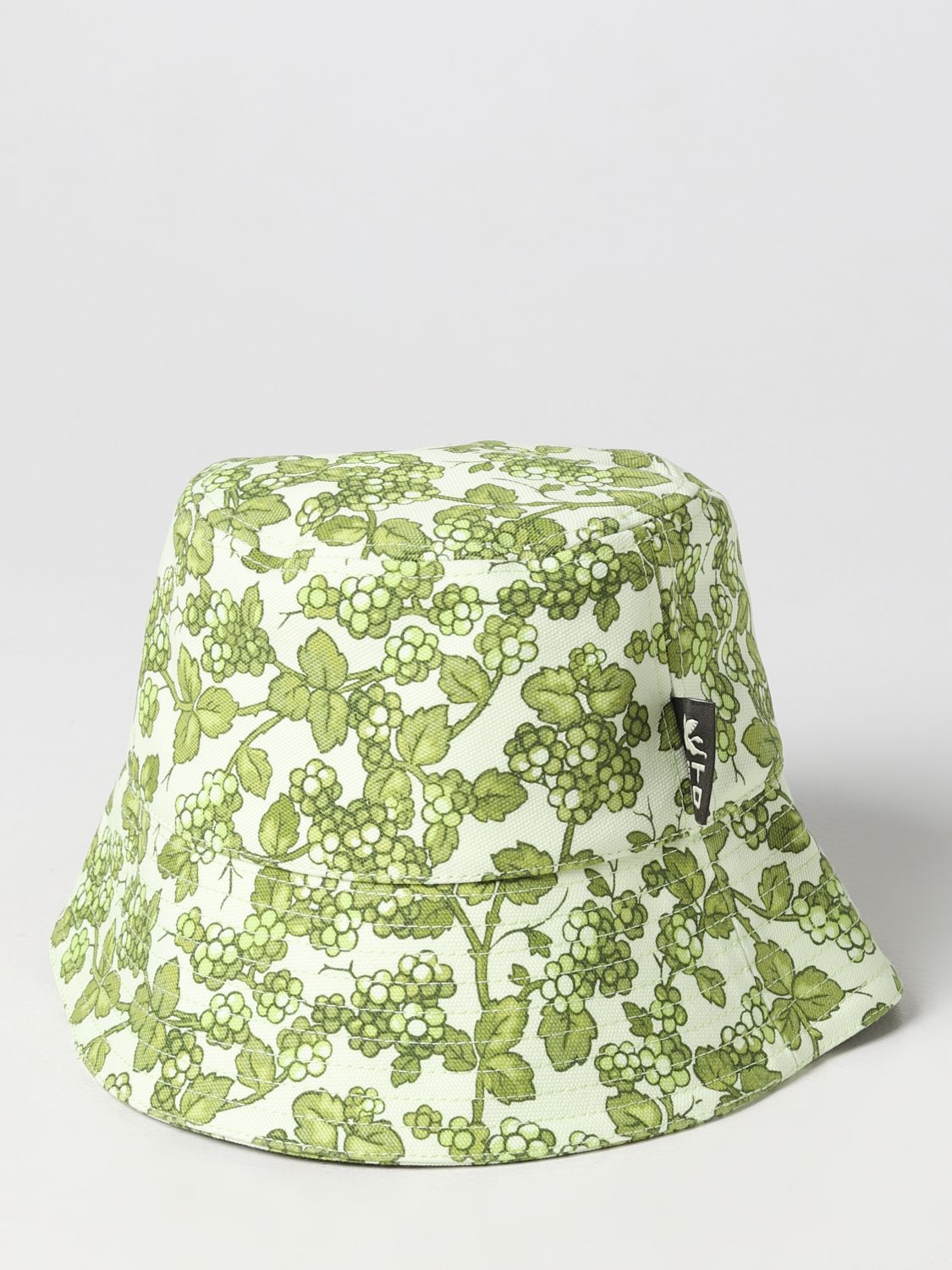 Etro Hat ETRO Woman colour Green