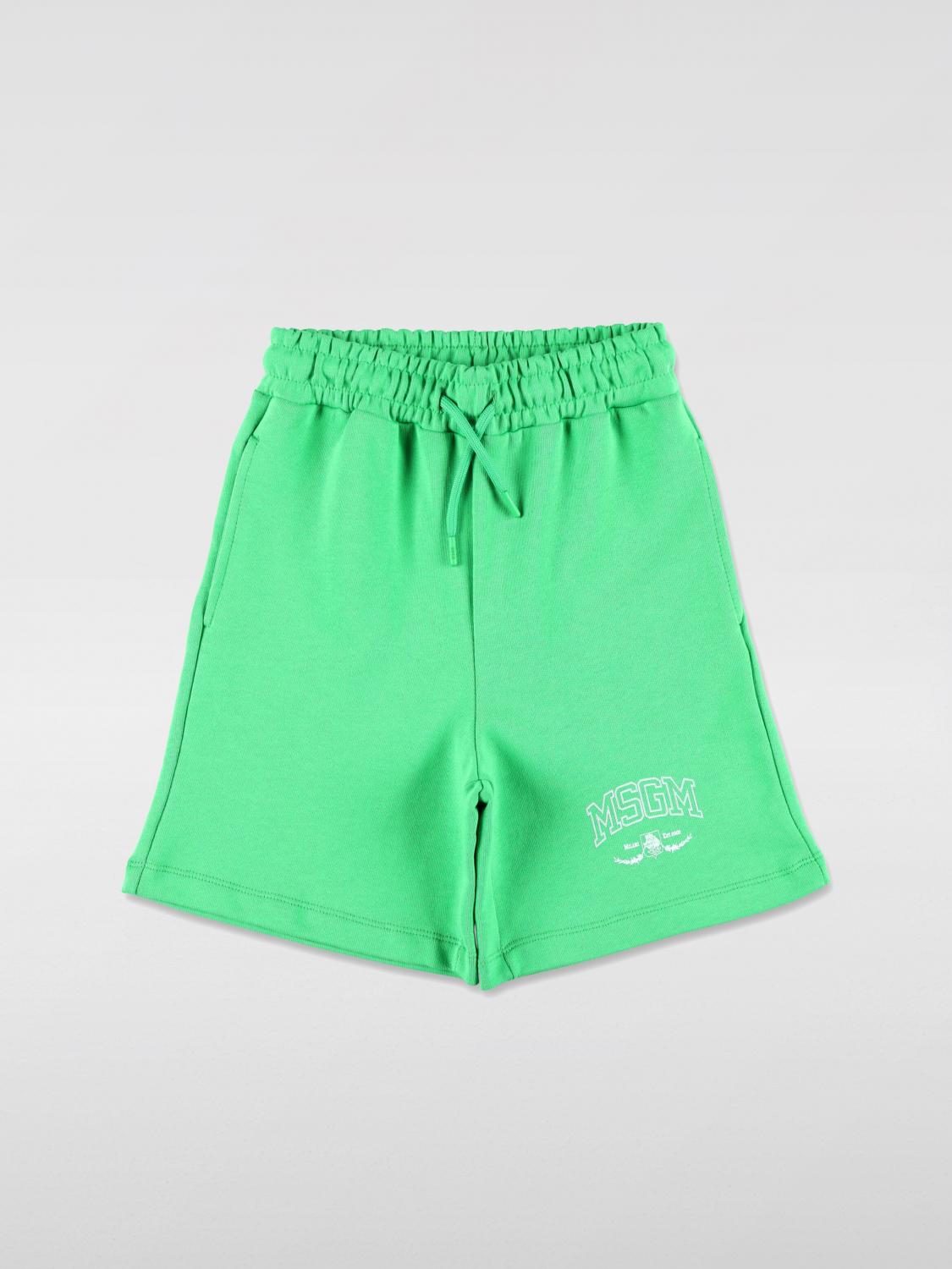 Msgm Kids Shorts MSGM KIDS Kids color Green