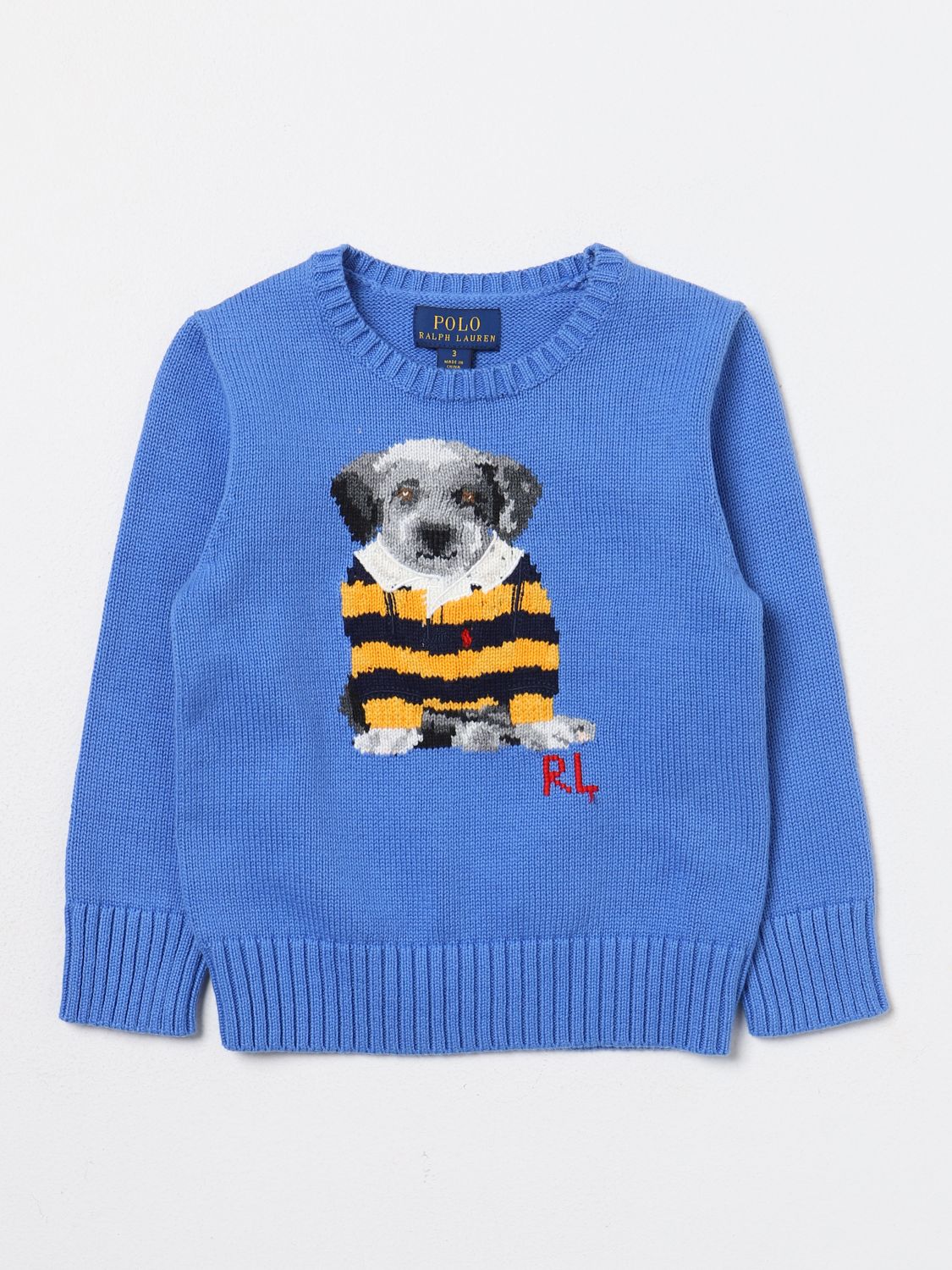 Polo Ralph Lauren Jumper POLO RALPH LAUREN Kids colour Blue