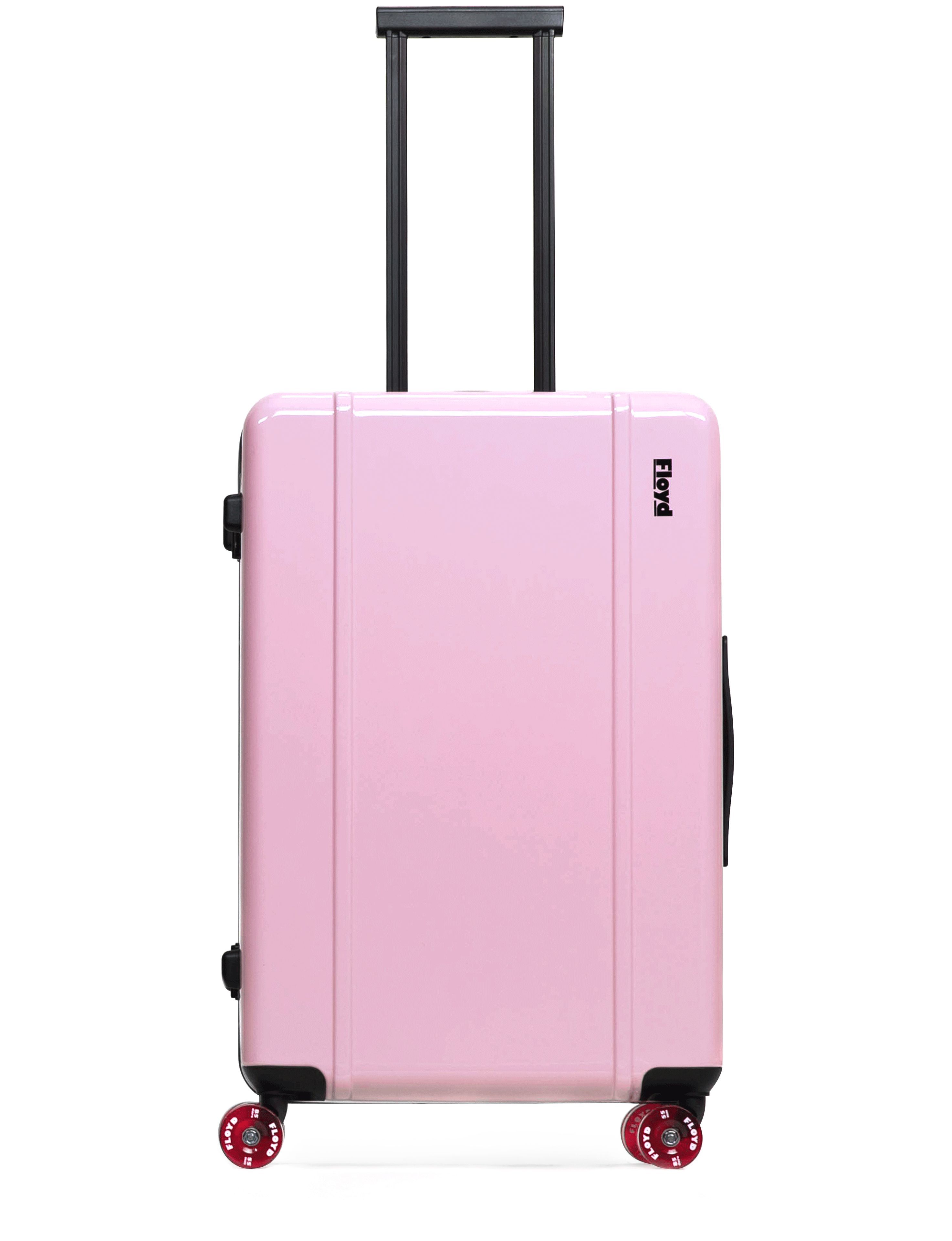  Check-in luggage