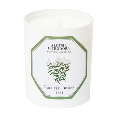  Scented Candle Verbena - Aloysia Citrodora - 185 g