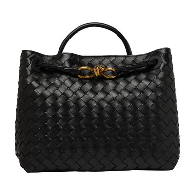 Bottega Veneta Andiamo medium bag