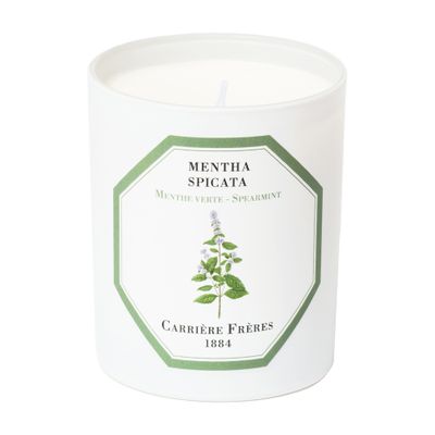  Scented Candle Spearmint - Mentha Spicata 185 g