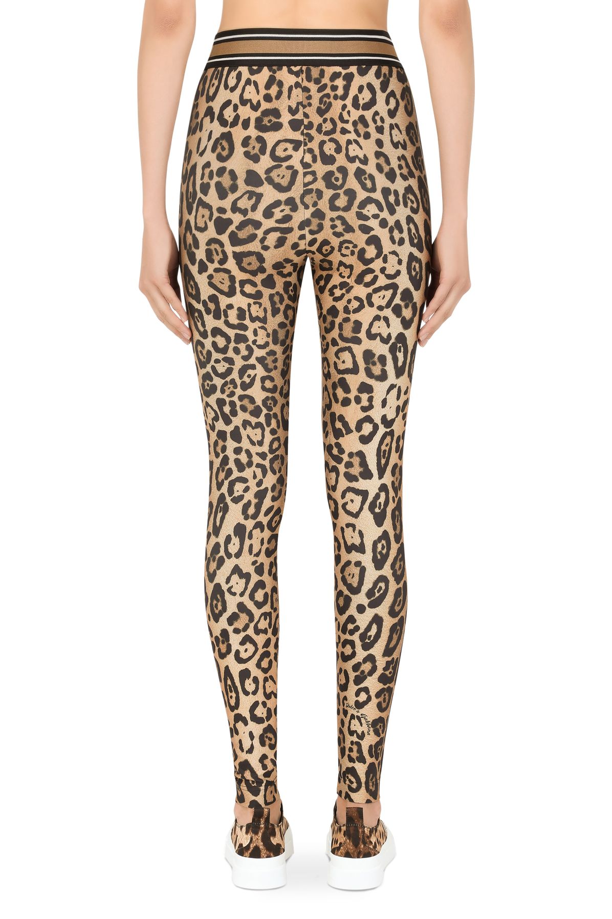 Dolce & Gabbana Leopard-print spandex/jersey leggings