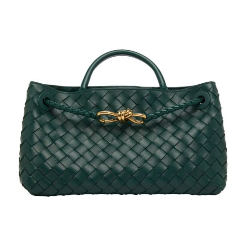 Bottega Veneta Small Andiamo East-West bag