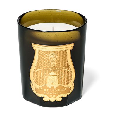 Trudon Scented Candle Ernesto 270 g