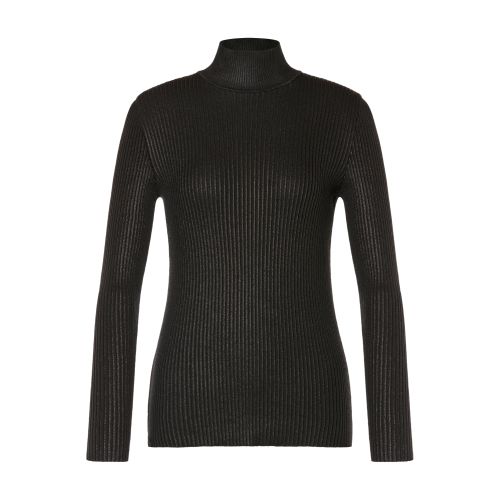 Alberta Ferretti Laminated turtleneck sweater