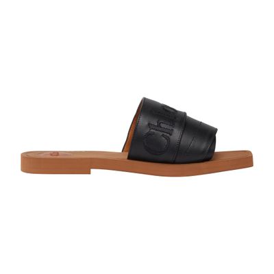 Chloé Woody slides