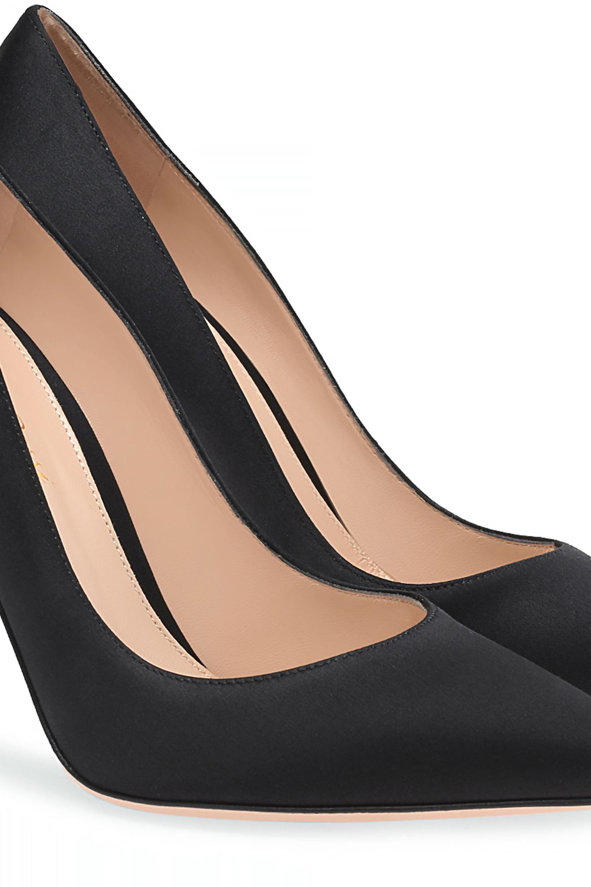 Gianvito Rossi Gianvito 105 pumps