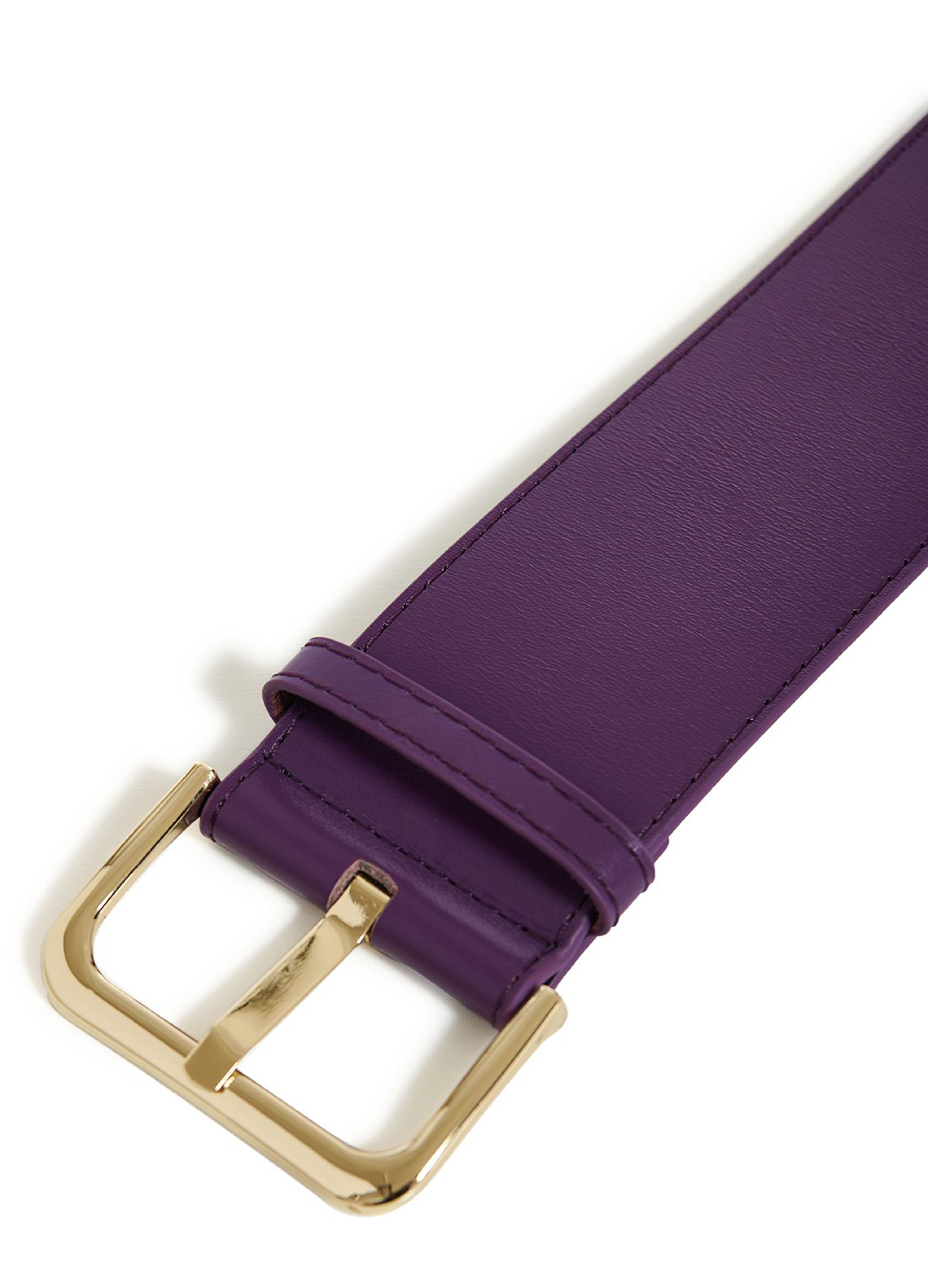  Endeavour belt