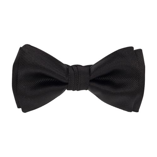 Salvatore Ferragamo Silk bow tie