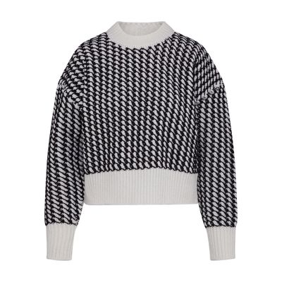 Bottega Veneta Turtleneck sweater