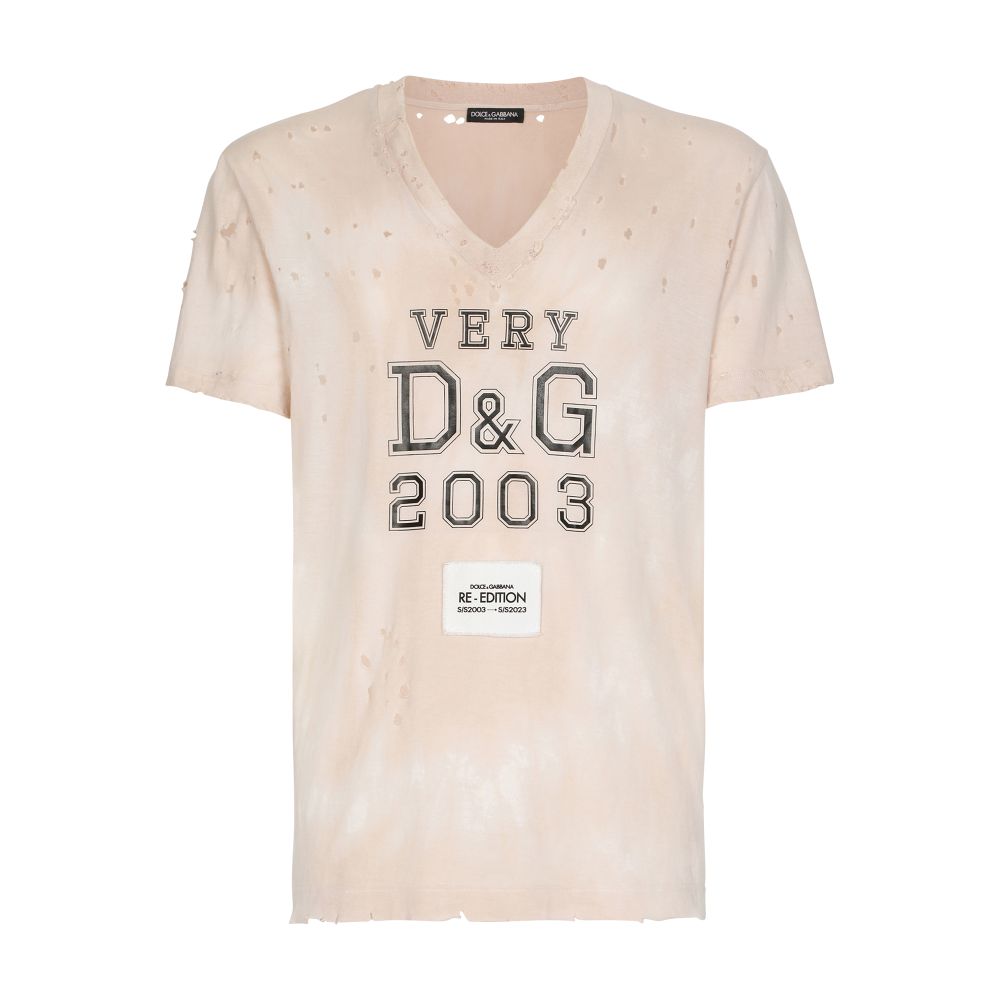 Dolce & Gabbana Cotton V-neck T-shirt with print