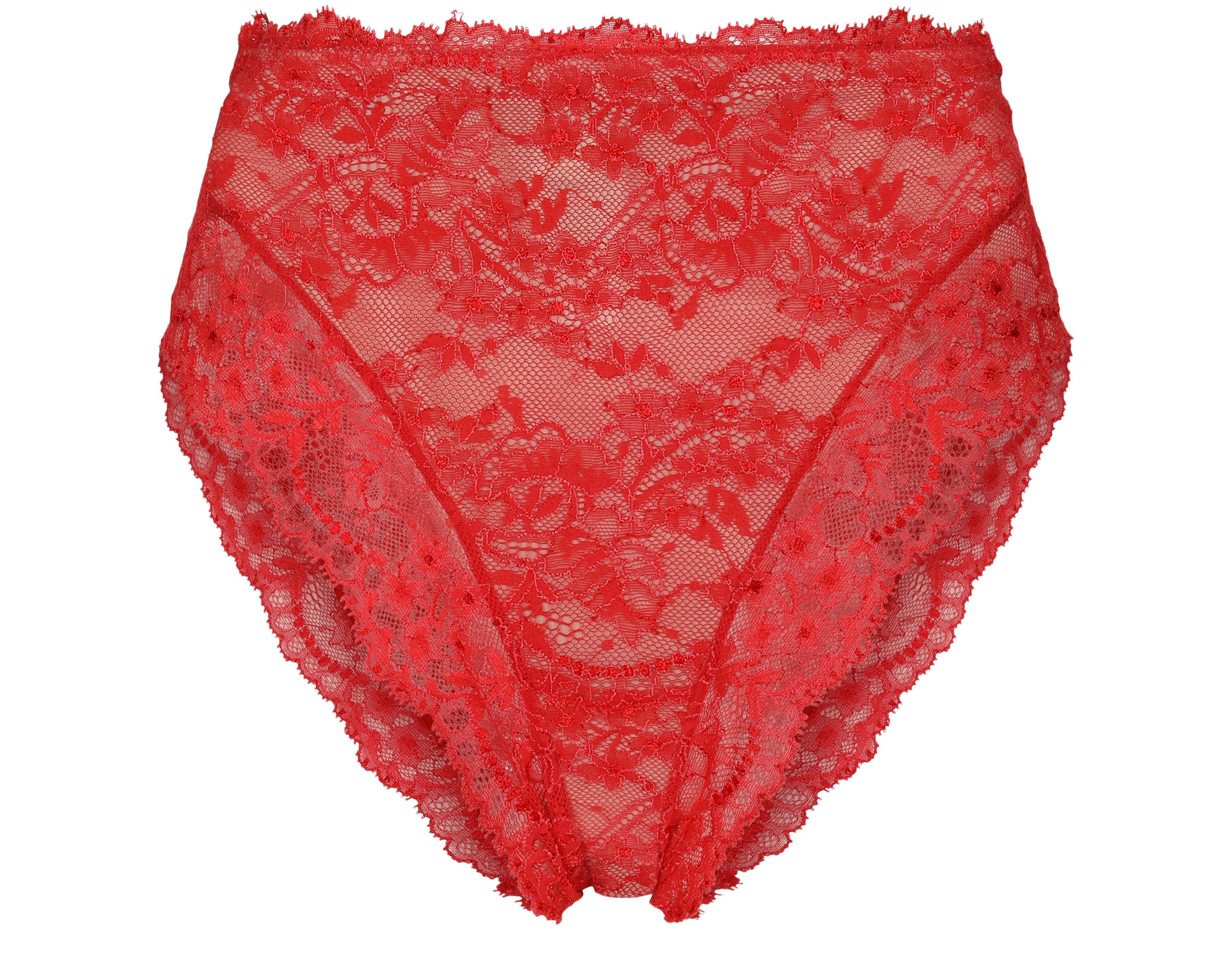 Dolce & Gabbana High-waisted Chantilly lace panties