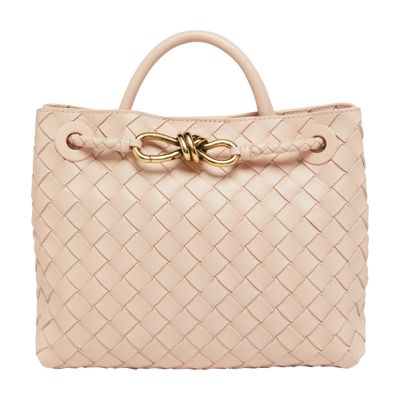 Bottega Veneta Andiamo bag small