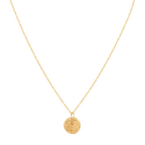  Baby Lion Club necklace