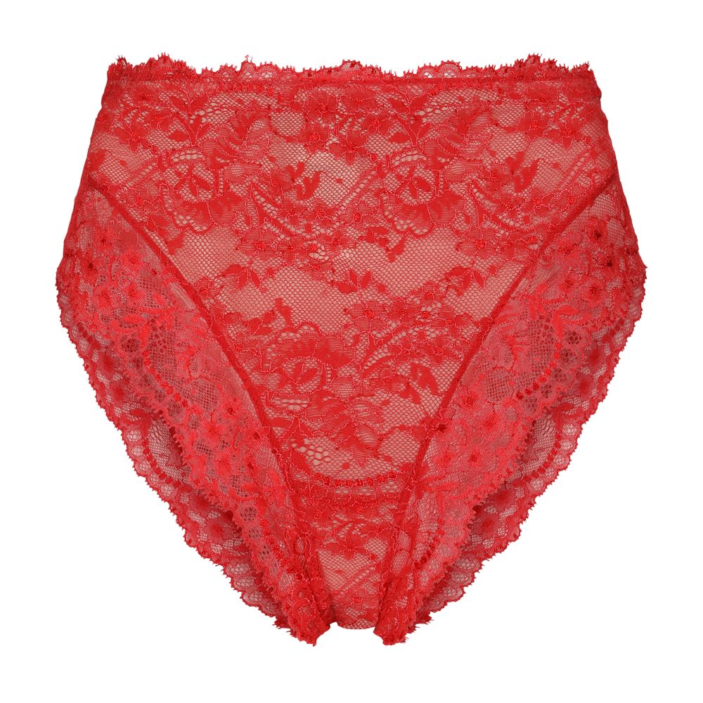 Dolce & Gabbana High-waisted Chantilly lace panties