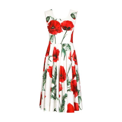 Dolce & Gabbana Poppy-print poplin midi dress