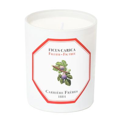  Scented Candle Fig Tree - Ficus Carica 185 g