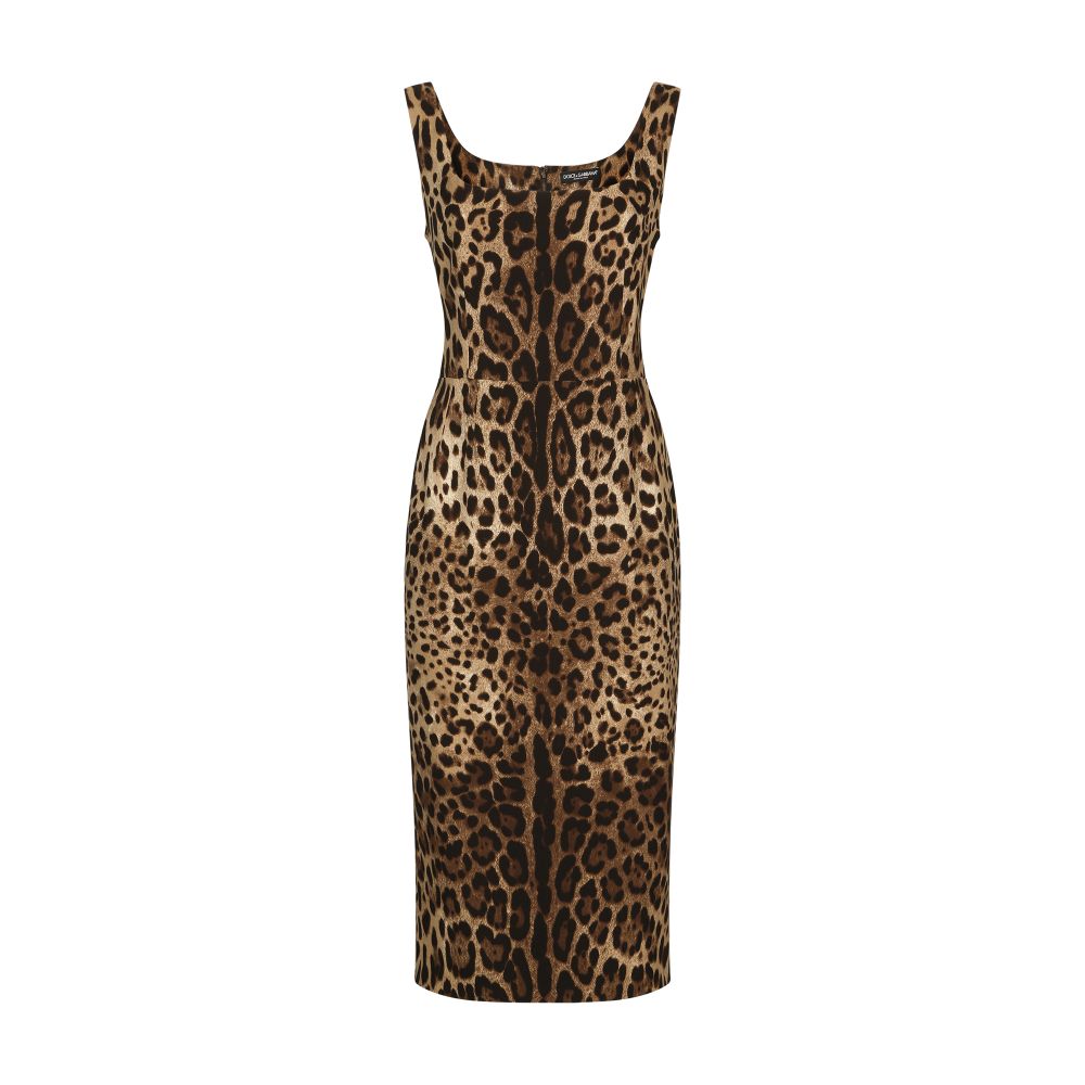 Dolce & Gabbana Leopard-print charmeuse midi dress