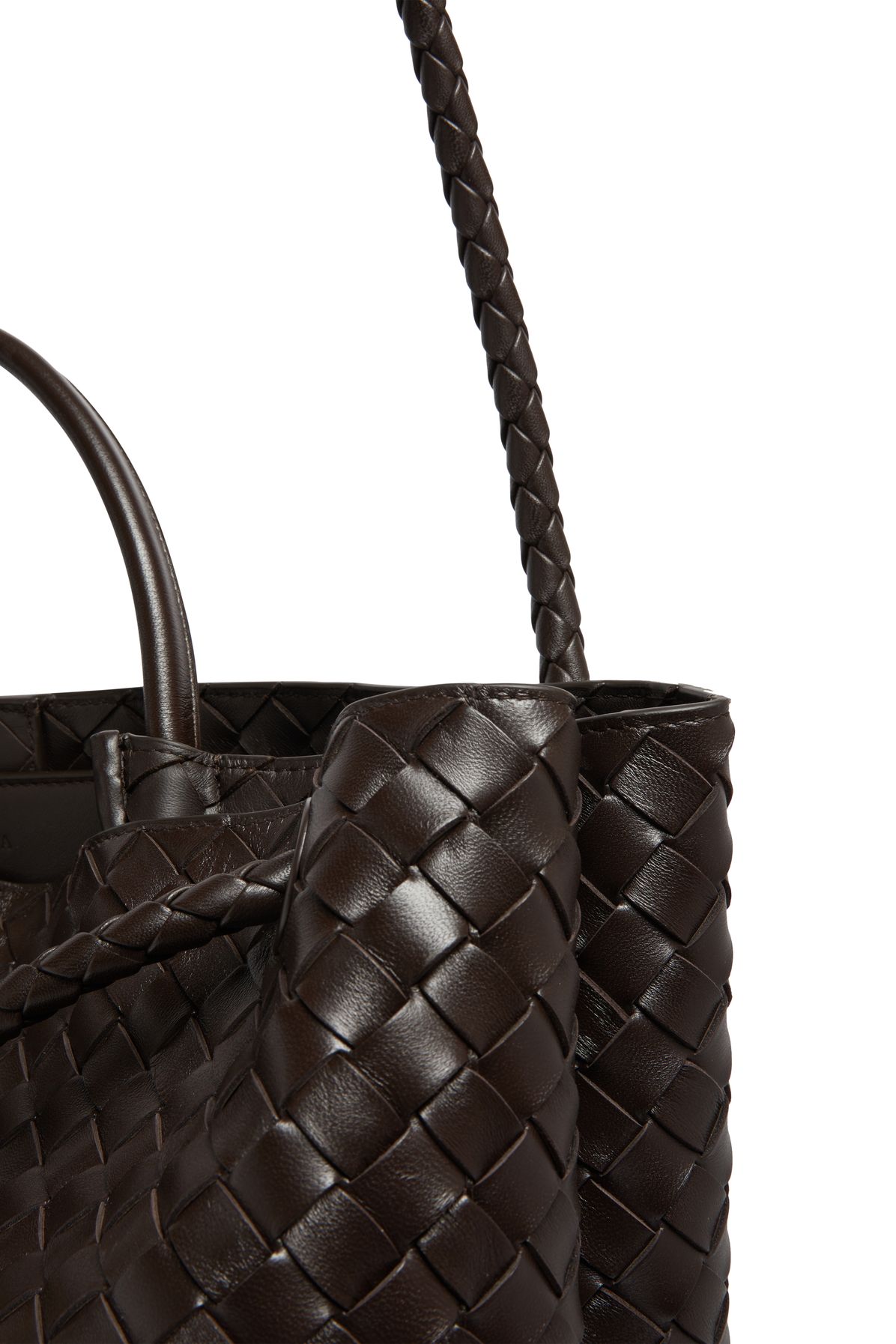 Bottega Veneta Andiamo large bag