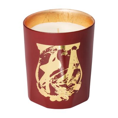 Trudon Scented candle - Terre à Terre - 270 g