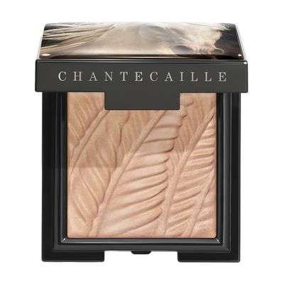 Chantecaille Matte eye shade Palomino